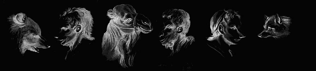 animalhumans