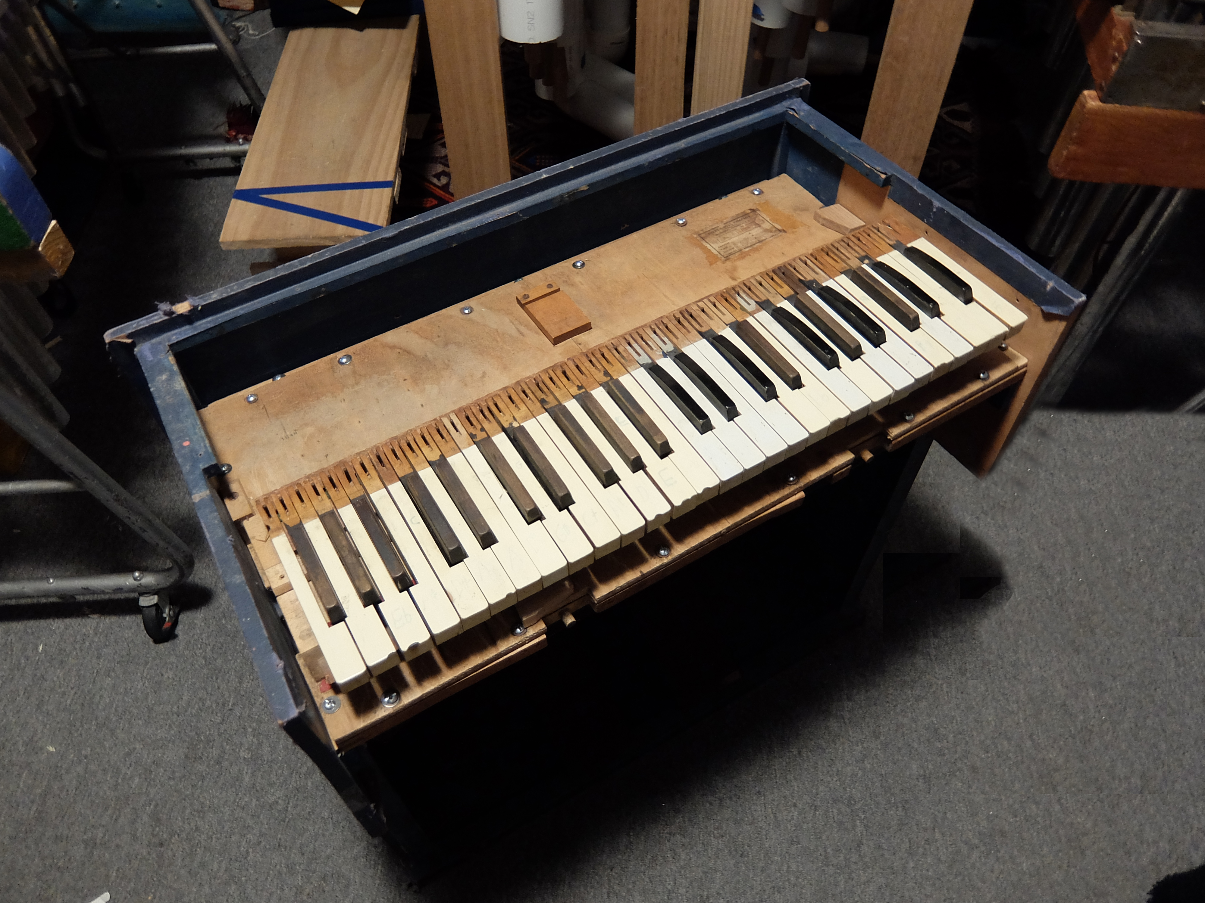 metaslendro organ