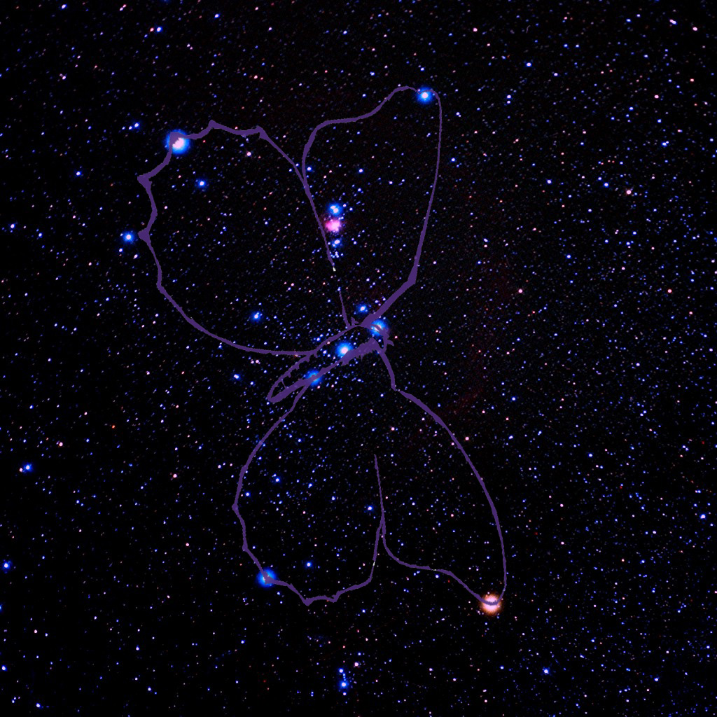 butterfly constellation